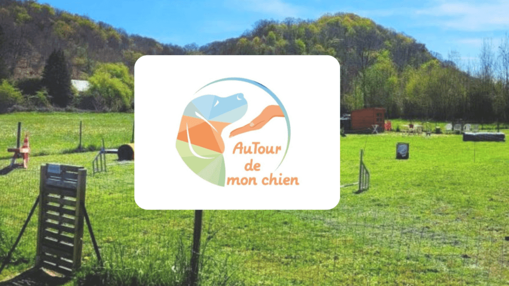 Cas client Autour de mon chien - SEO local