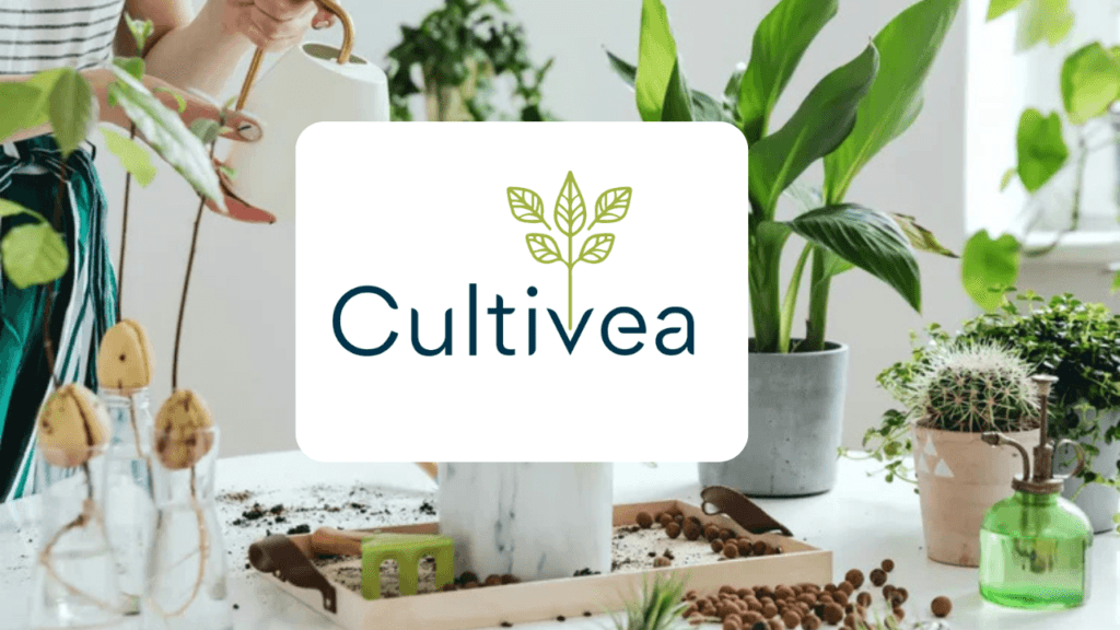 Cas client Cultivea - SEO e-commerce