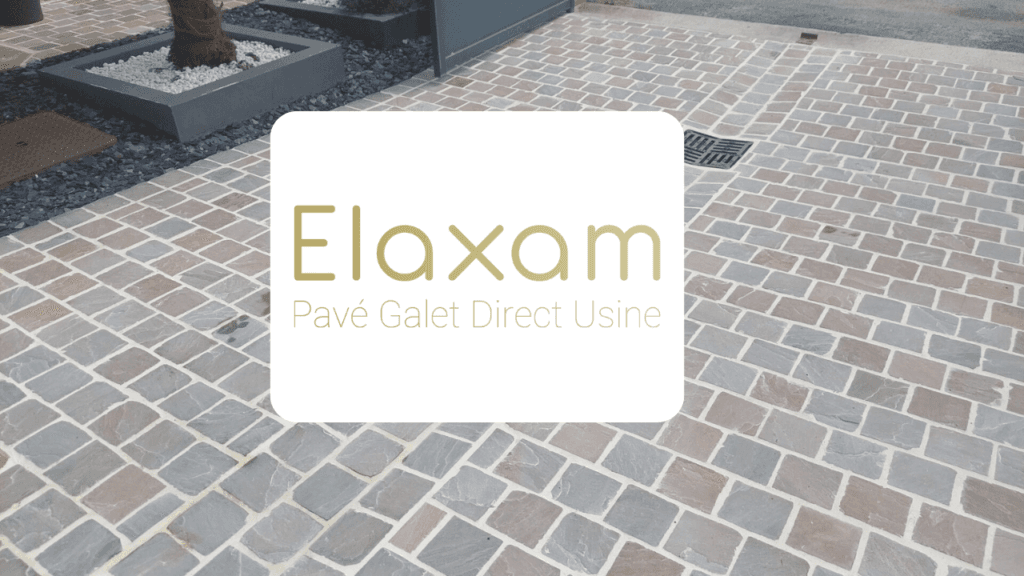 Cas client Elaxam - SEO e-commerce